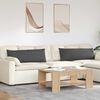 vidaXL Cuscini da Divano 2 pcs Grigio scuro 120 x 40 cm