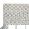 vidaXL Giroletto senza Materasso Grigio Naturale Vero Rattan 180x200cm