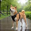 Immagine miniatura del prodotto 2 di 11