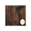 vidaXL Copertura Vite Adesiva 12 pz Rovere fum&eacute; &Oslash; 20 x 0,5 mm