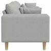 vidaXL Divano con cuscino Grigio Nuvola 250 x 77 x 76 cm Tessuto