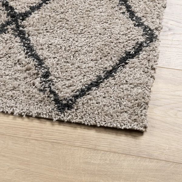 vidaXL Tappeto Shaggy PAMPLONA Pelo Lungo Beige e Antracite 100x200cm