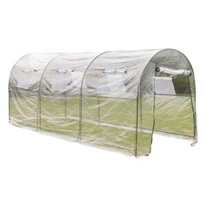 vidaXL Serra Esterna con Ampia Cabina Portatile per Piante da Giardino