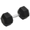 vidaXL Manubrio 20 kg Ghisa