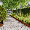 vidaXL Bordure per Prato 10 pz 15x103 cm Flessibili in Acciaio Corten