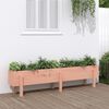 vidaXL Fioriera Rialzata Giardino 160x30x38 cm Legno Massello Douglas