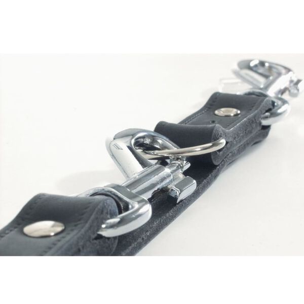 Beeztees Guinzaglio da Addestramento in Pelle Cuoio 200x1,8 cm 736392 Nero