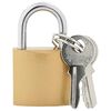 vidaXL U Lock con Chiavi 100 pz Ottone Ferro