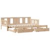vidaXL Divano Letto Estraibile con Cassetti senza Materasso 80x200 cm