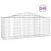 vidaXL Cesti Gabbioni ad Arco 40 pz 200x50x80/100 cm Ferro Zincato