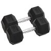 vidaXL Manubri 2 pz 10 kg Totale in Ghisa