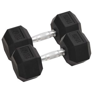 vidaXL Manubri 2 pz 10 kg Totale in Ghisa