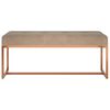 vidaXL Panca Beige 110x36x45 cm in Velluto