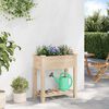 vidaXL Vaso da giardino con lo scaffale Beige 71 x 37 x 76.5 cm