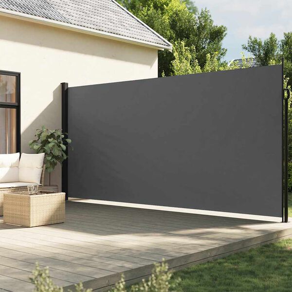 vidaXL Tenda da sole laterale retrattile antracite 220x300 cm