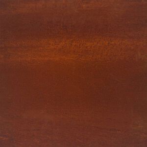 vidaXL Fioriera Rialzata da Giardino 100x100x18,5 cm in Acciaio Corten