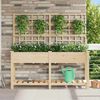 vidaXL Vaso da giardino con lo scaffale Beige 161 x 46 x 152,5 cm