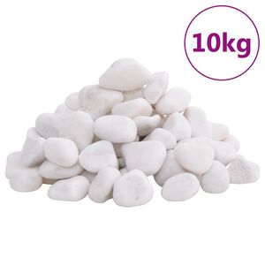 vidaXL Ciottoli Levigati 10 kg Bianchi 2-5 cm