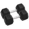 vidaXL Manubri 2 pz 12,5 kg Totale in Ghisa