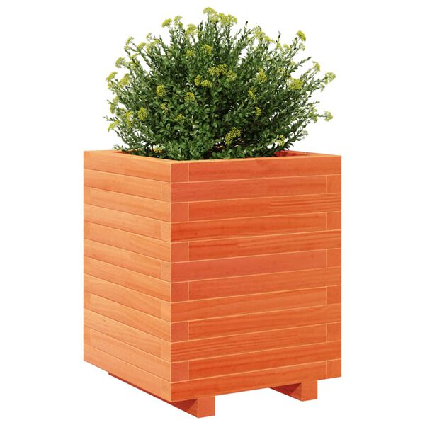 vidaXL Fioriera Giardino Marrone Cera 40x40x49,5cm Legno Massello Pino