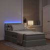 vidaXL Letto con contenitore e LED Grigio chiaro 100 x 200 cm Tessuto