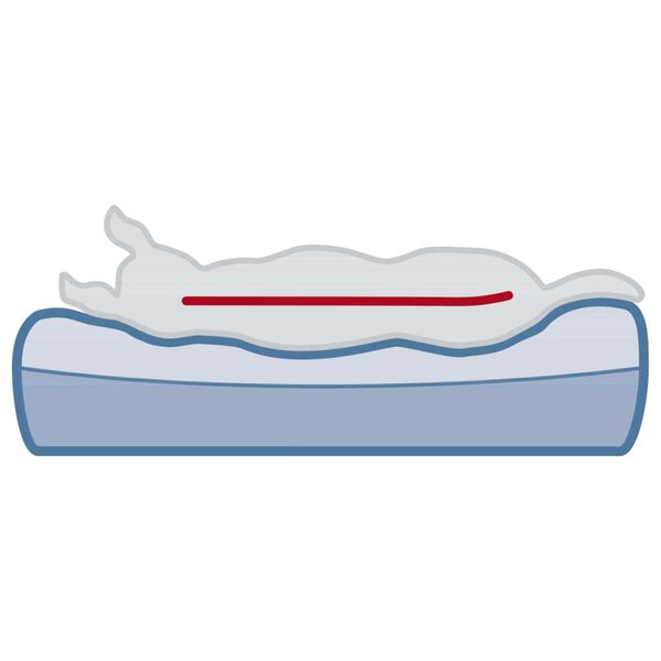 TRIXIE Lettino per Cani Bendson Vital 100x80 cm Grigio