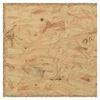 vidaXL Terrario in Legno Multistrato 80x40x40 cm