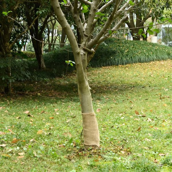 Visualizzazione immagine prodotto 2 di 7