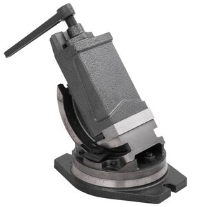 vidaXL Morsa Inclinabile a 2 Assi 100 mm