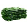 vidaXL Paravento da Balcone con Foglie Verdi 600x150 cm