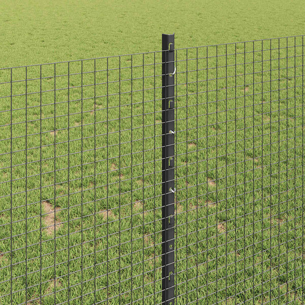 Visualizzazione immagine prodotto 4 di 14