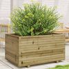 vidaXL Fioriera da Giardino 90x60x49,5 cm in Legno di Pino Impregnato