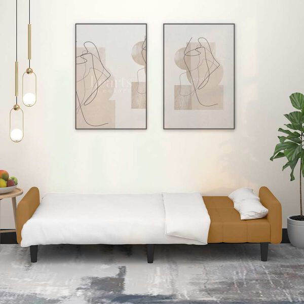 vidaXL Divano Letto a 2 Posti Marrone in Velluto