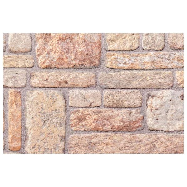 vidaXL Pannelli da parete 10 pcs Marrone chiaro e bianco 100 x 50 cm