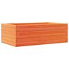 Wax_brown