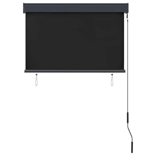 vidaXL Tenda a Rullo per Esterni 100x250 cm Antracite