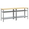 vidaXL Set banco da lavoro 2 pcs Grigio 200 x 55 x 85 cm Acciaio