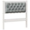 White_and_light_grey