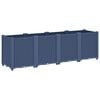 Blue_grey