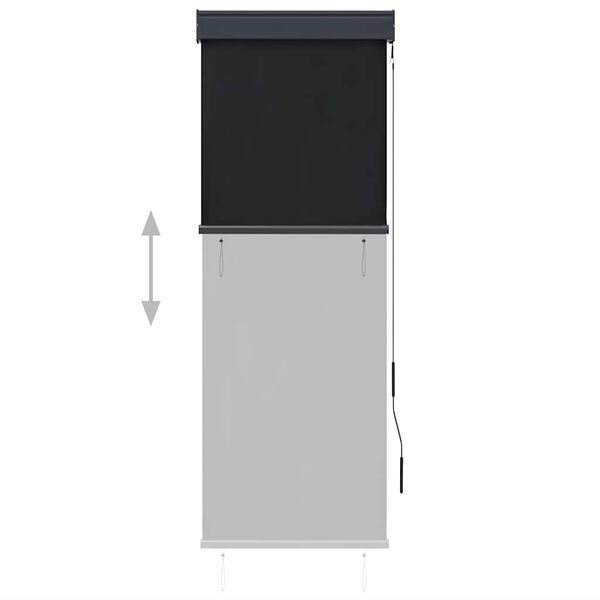 vidaXL Tenda a Rullo per Esterni 60x250 cm Antracite