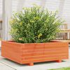 vidaXL Fioriera Giardino Marrone Cera 70x70x26,5cm Legno Massello Pino