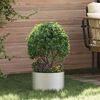 vidaXL Vaso da giardino Argento 30 x 30 x 20 cm Acciaio inossidabile