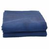 vidaXL Tappeto da Tenda Blu 800 x 350 cm Poliestere