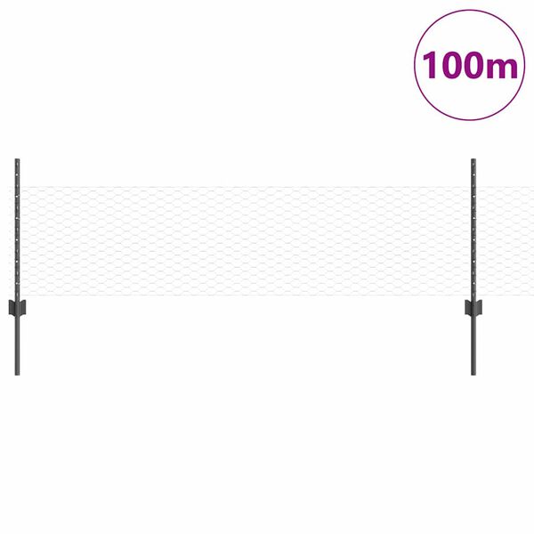 Visualizzazione immagine prodotto 3 di 13