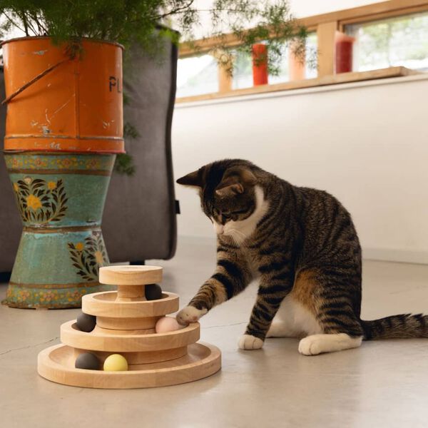 Designed by Lotte Torre da Gioco per Gatti Mia 26x14,5 cm in Legno