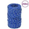 vidaXL Corda per barca Blu 2 mm 250 m in Polipropilene