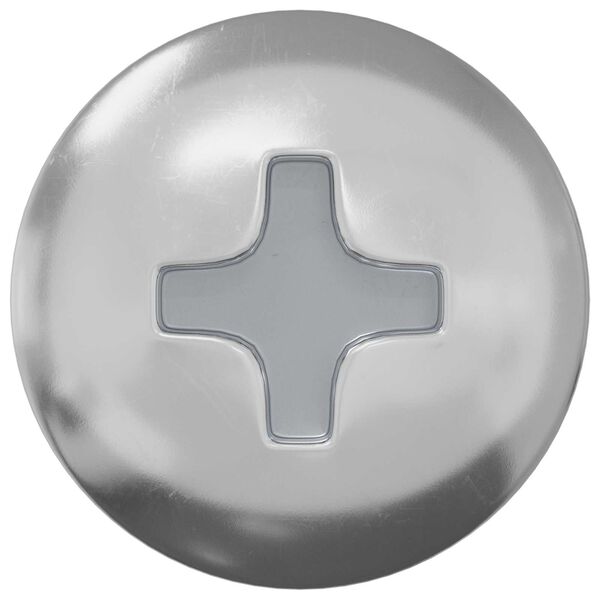 vidaXL Chiodo autofilettante 2 pcs Zincato 4 x 20 mm Acciaio