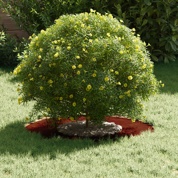 vidaXL adatto per Anello d'Albero Piatto Marrone &Oslash;30 / 60 cm