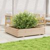 vidaXL Fioriera da Giardino 110x110x26,5 cm in Legno Massello di Pino