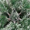 Immagine miniatura del prodotto 7 di 9